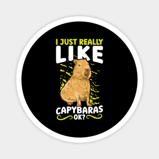 I Just Really Like Capybaras, OK? Magnet
